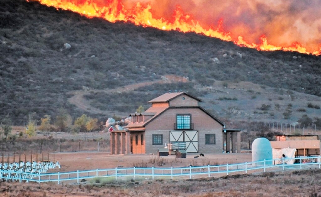 Áreas forestales y zonas urbanas fueron afectadas por la propagación del fuego, por lo que miles de habitantes de Tecate, Playas de Rosarito, Tijuana y Ensenada tuvieron que ser evacuadas. Foto: REUTERS