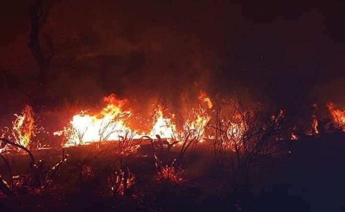 Protección Civil y Sedena sobrevolarán las cuatro regiones de SLP para prevenir incendios. Foto: Especial