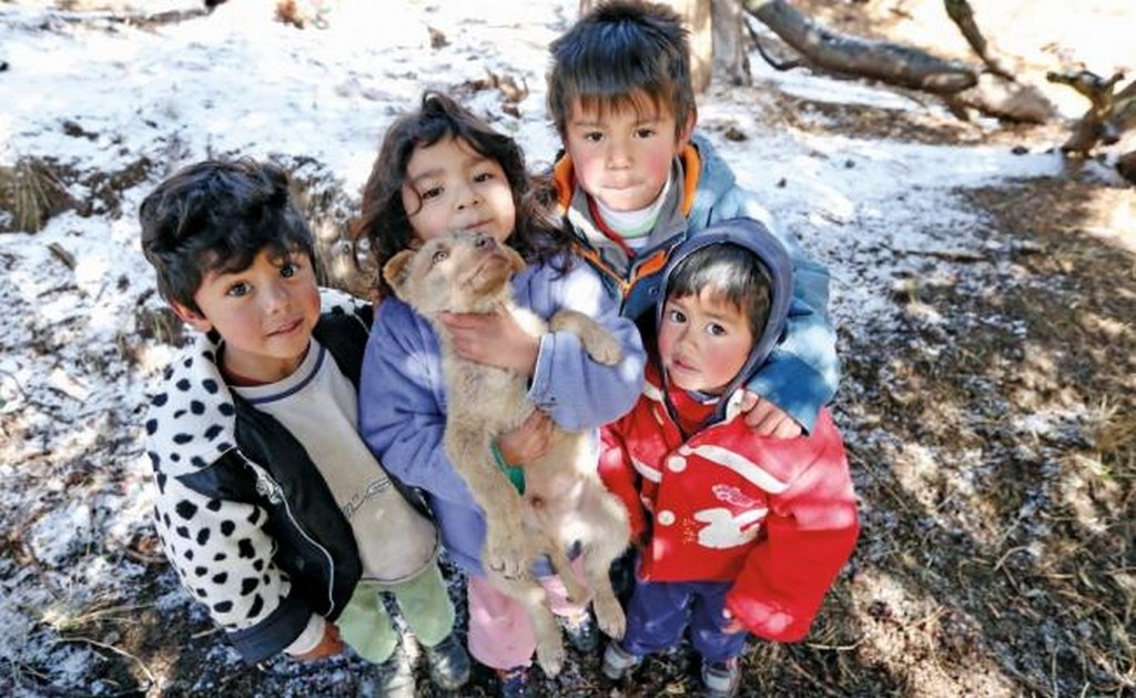 Por frío, suspenden las clases en 5 delegaciones