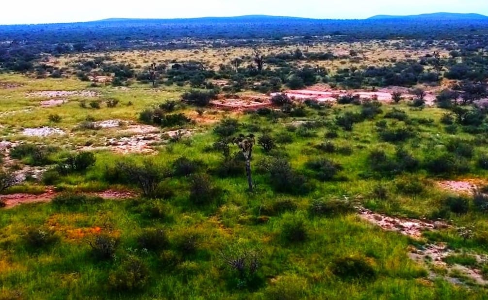 Vestigios del antiguo asentamiento Villa Concordia en SLP. Foto: Fb@Silvia Cacho