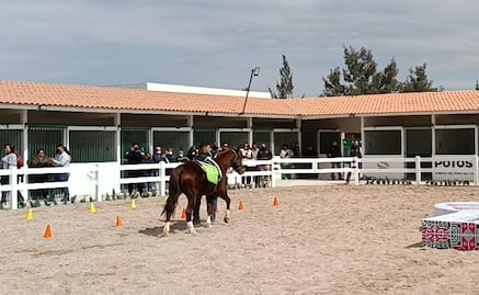 Soledad también tendrá centro de equinoterapia para personas con discapacidad