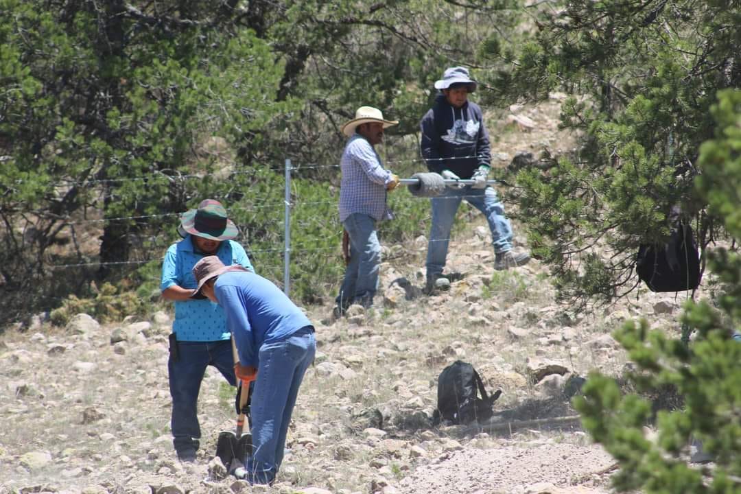 Arranca la reforestación en Sierra de San Miguelito; se han plantado 2 mil especies