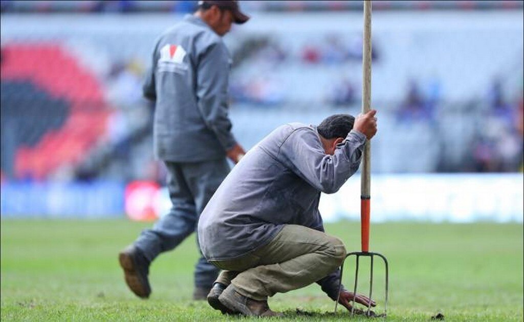 El Azteca olvida pasto híbrido y vuelve al natural