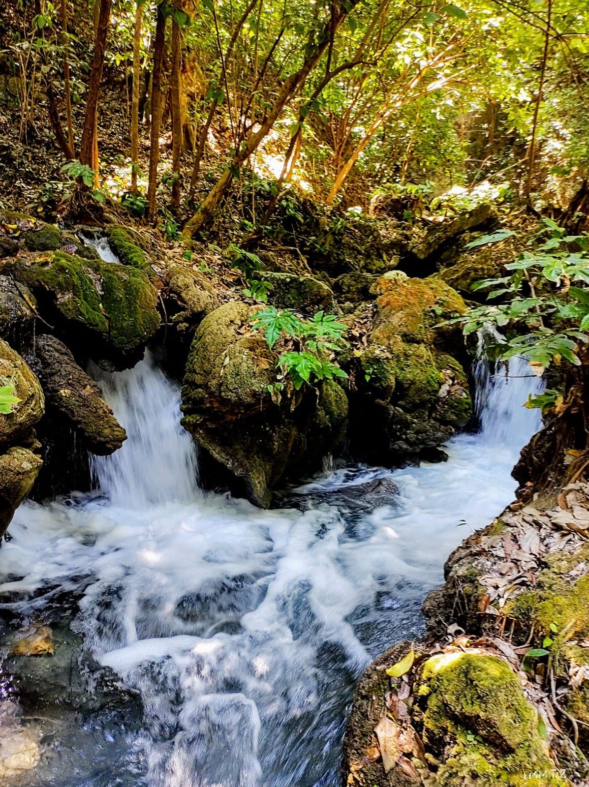 Foto: Facebook Jorge Alvarado Mtz