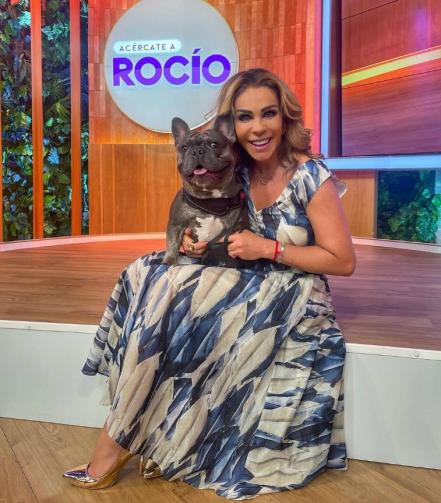 Día Mundial del Perro. Ana Bárbara, Rubí Ibarra, Enrique Galindo, y otros potosinos amantes de los perritos