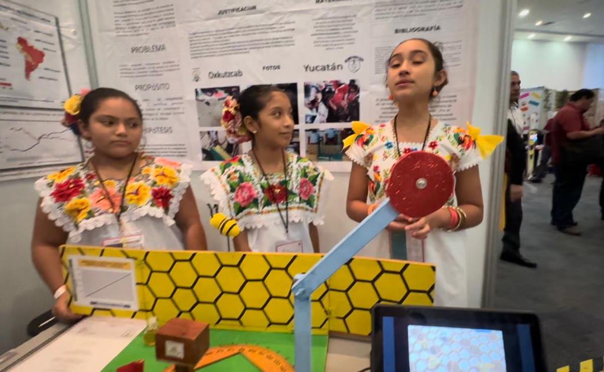 Con ayuda de las matemáticas, niñas de Yucatán crean prototipo para explicar “danza de las abejas”