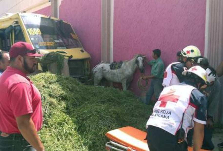 Camionero arrolla volanta 