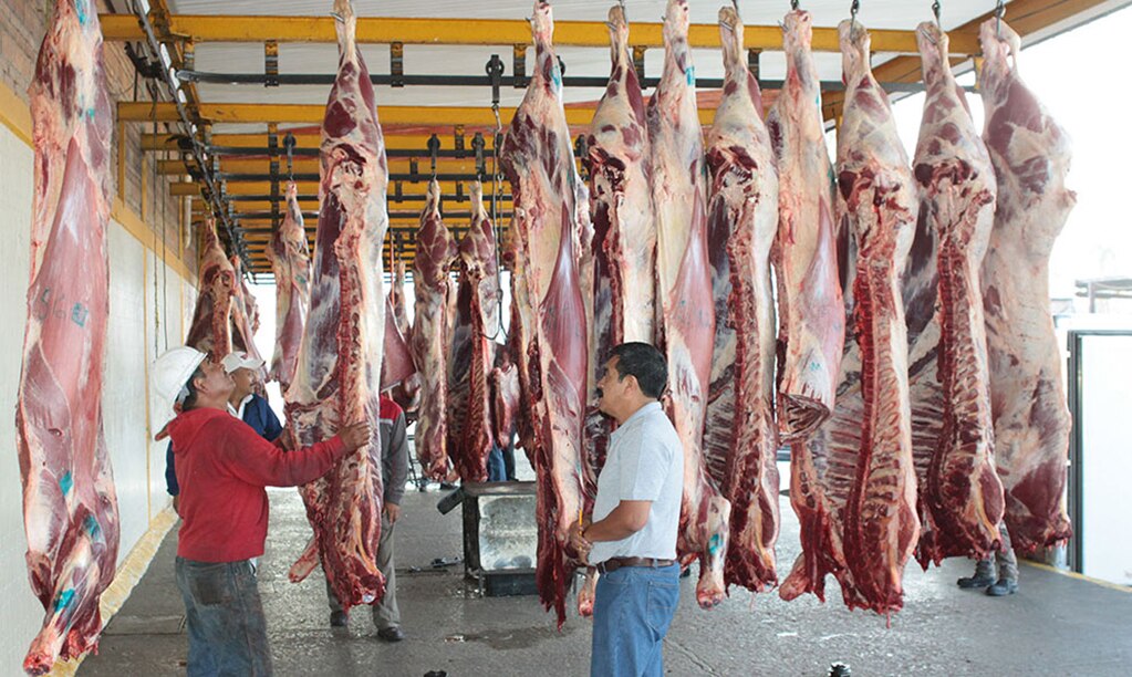 Lucha contra rastros clandestinos, pendiente