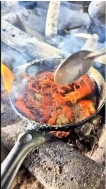 Techiches fritos al fogón, un platillo en la Huasteca potosina. Foto: TikTok@noel_cortes09
