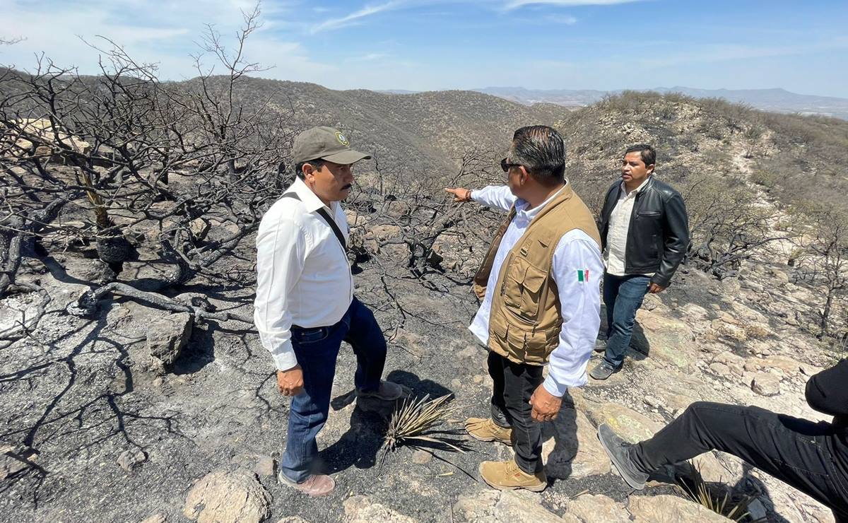 Durante el resto del día se mantendrá el monitoreo para constatar que el viento no avive el fuego en la Sierra de San Miguelito, SLP. Foto: Especial