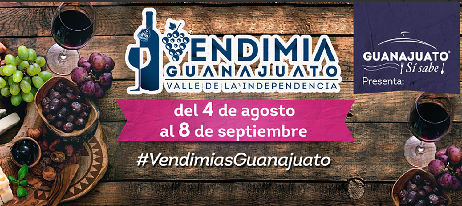 Invitan a sexta edición de la Vendimia Guanajuato