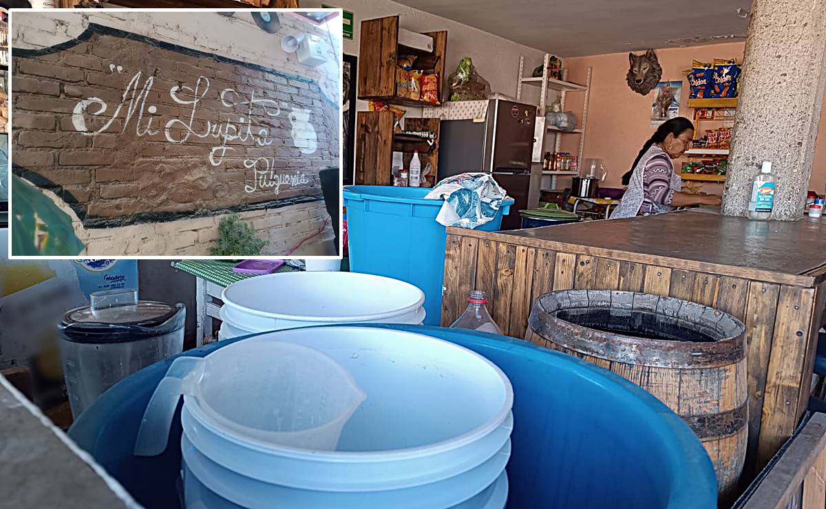 "Mi Lupita", un lugar de tradición donde se puede disfrutar de un buen pulque en SLP desde hace 31 años