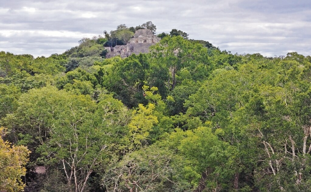 “Tren Maya despoja a pueblos originarios”