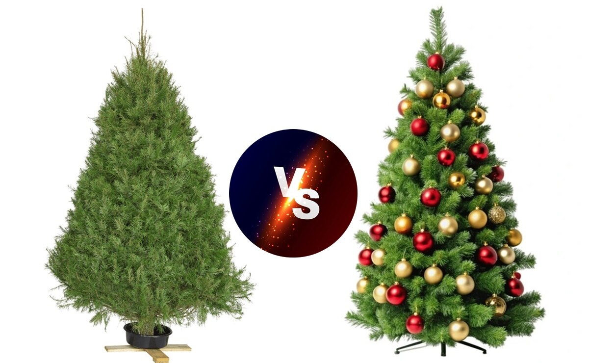 Árbol natural o artificial, cuál es la mejor opción para Navidad. Foto: Especial