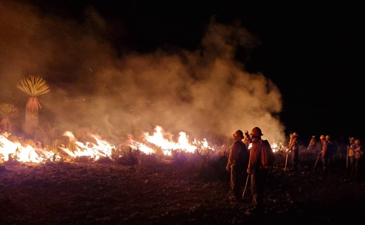 Según la Comisión Nacional Forestal (Conafor) del 1 de enero al 2 de mayo se han registrado 24 incendios forestales en el estado de San Luis Potosí. Foto:  Coordinación Estatal de Protección Civil