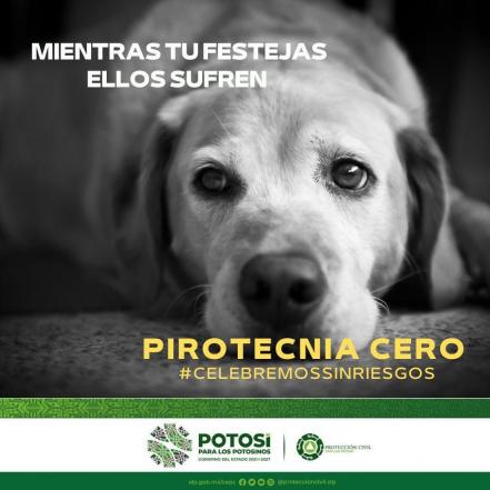 Protección Civil en SLP arranca campaña “Pirotecnia Cero” 