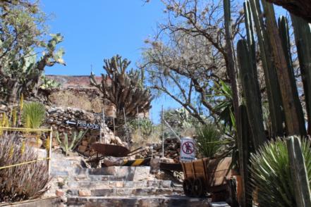 Cerro de San Pedro, un atractivo turístico imperdible si estás de visita por San Luis