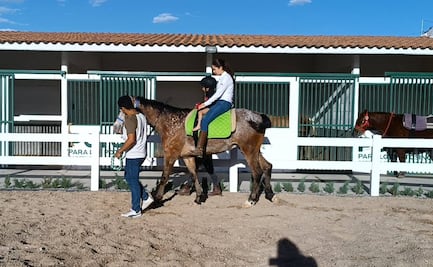Centro de Equinoterapia en SLP, lugar de esperanza para personas con discapacidad y sus familias