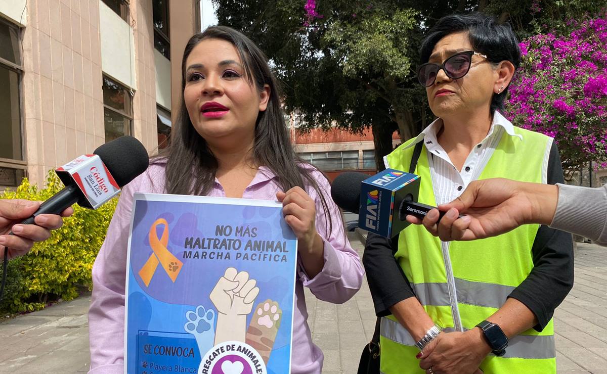 Asociaciones protectoras de animales convocan a marcha contra maltrato en SLP