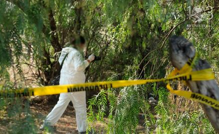 SESNSP reporta 31 muertes violentas de mujeres de enero a agosto en SLP