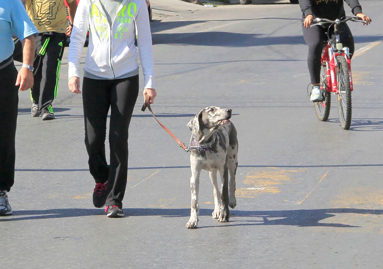 Foto: Ayuntamiento de SLP