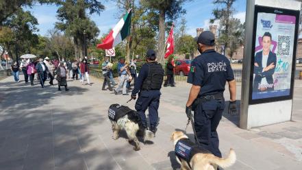 Bonie, Candie y Camila, un ejemplo de amor y profesionalismo de la unidad canina de SLP