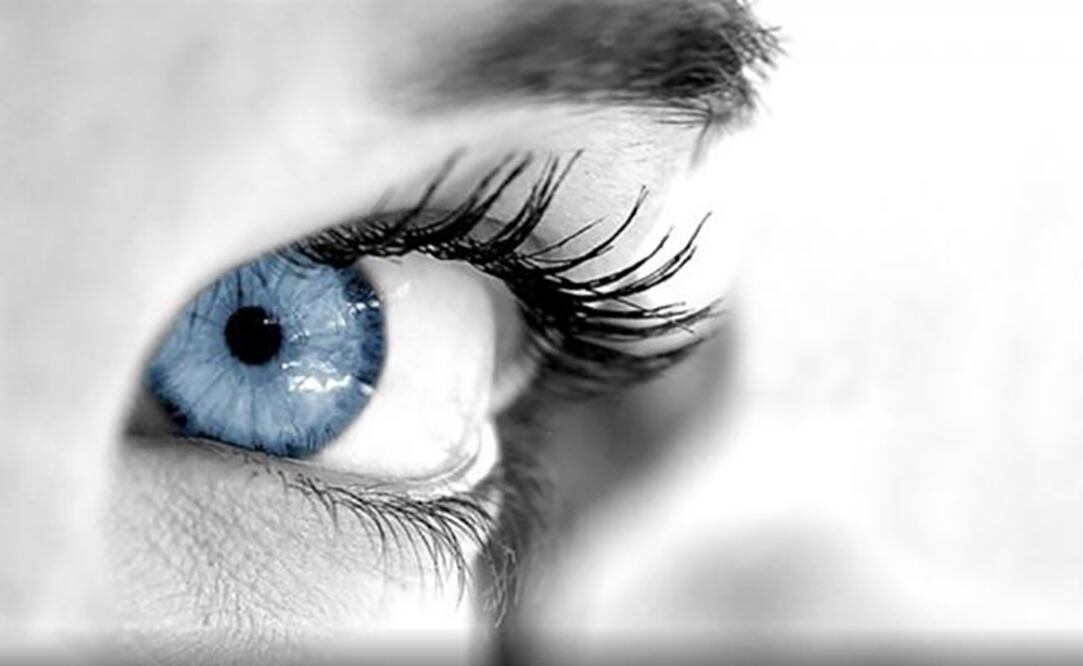 El ojo es el órgano fotosensible más común, tanto en humanos como en muchas otras especies. (FOTO: Especial)