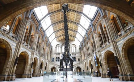 Esqueleto de dinosaurio inicia gira en Reino Unido