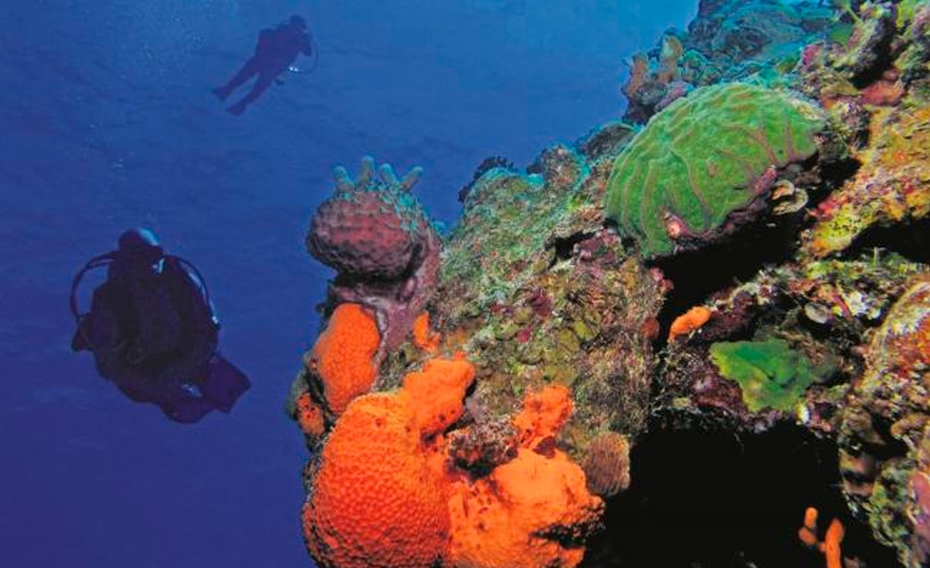 Envían robots a cazar las riquezas minerales de las profundidades marinas