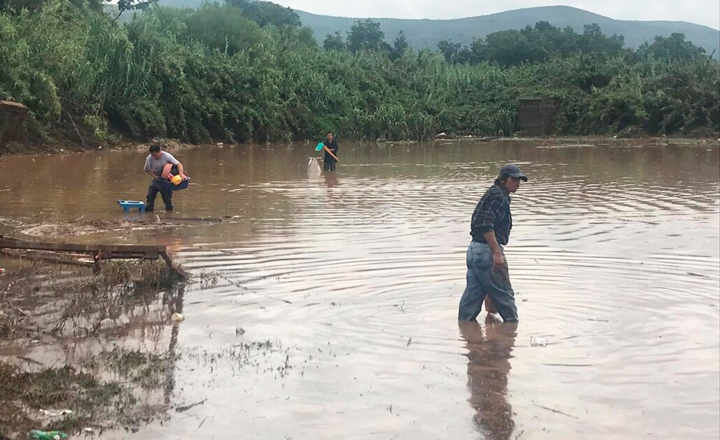 "Falló la comunicación con municipios", reconoce PC tras incidentes de Cerro de San Pedro y Santa María