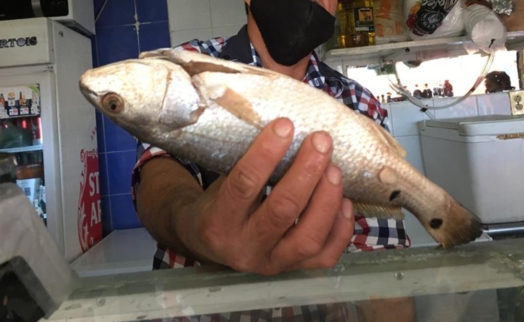 Vigilarán que negocios de mariscos cumplan medidas sanitarias en cuaresma en SLP