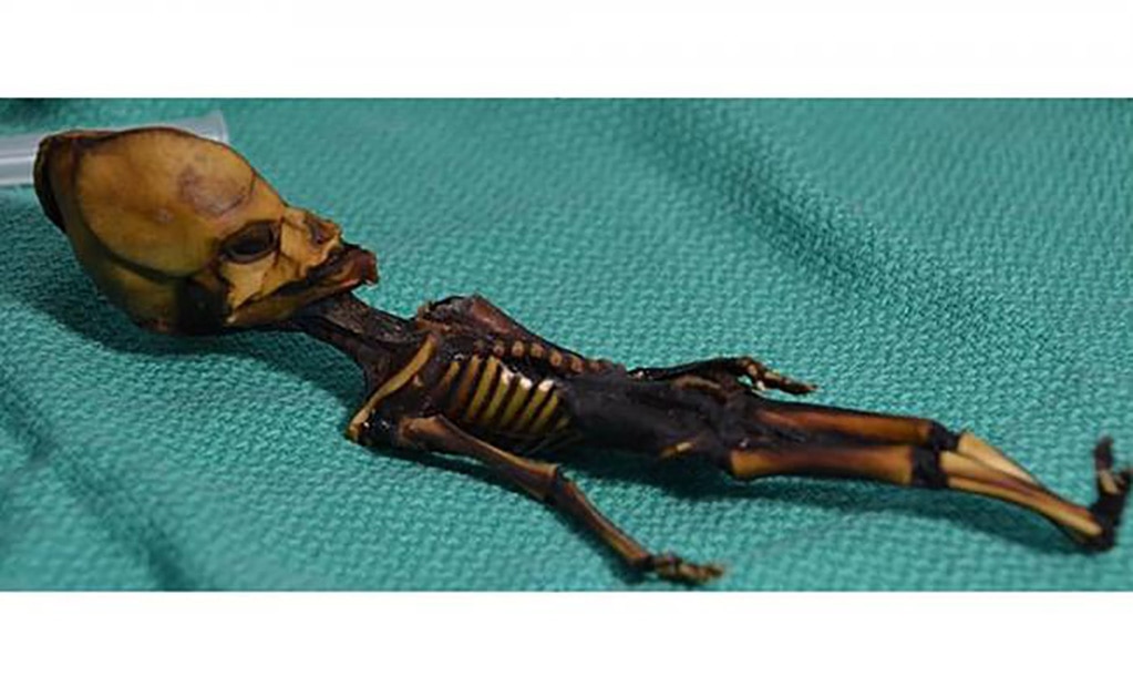 Resuelven el misterio del 'alien' de Atacama