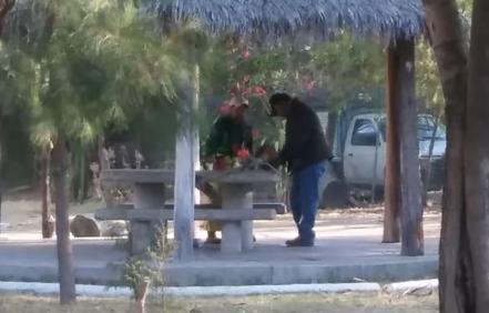 Protección Civil niega presencia de puma en Parque de Morales