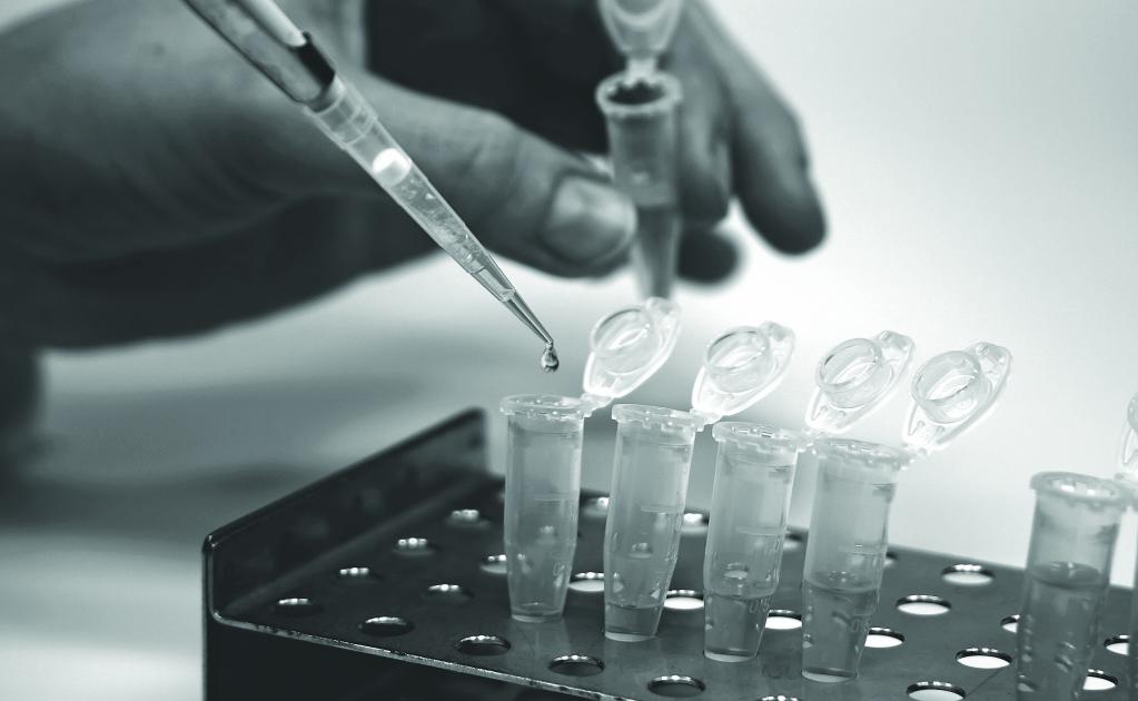 Familia de policía desaparecido se niega a aportar muestra de ADN: CEEAV