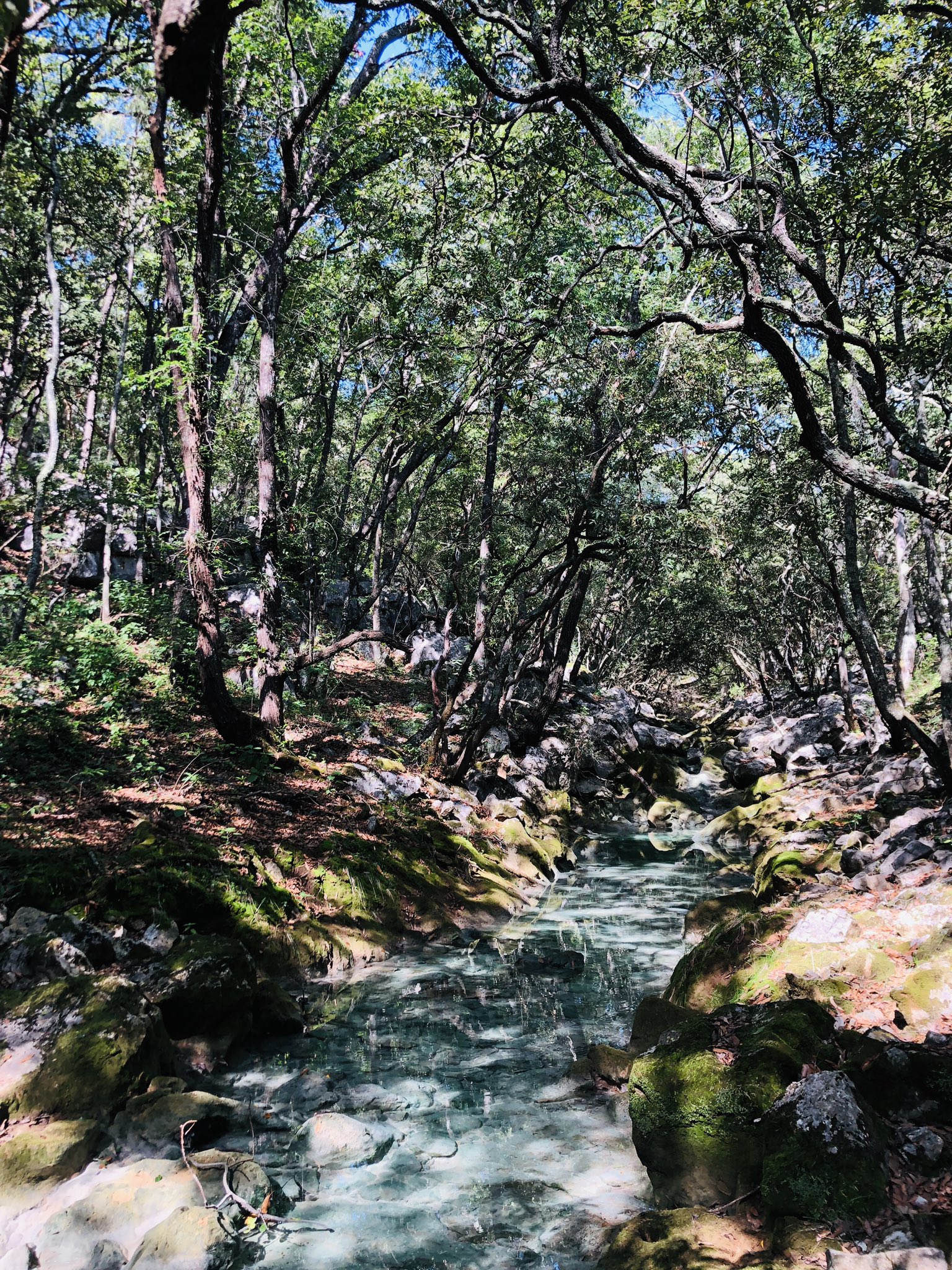 Foto: X @pbenaventeg.