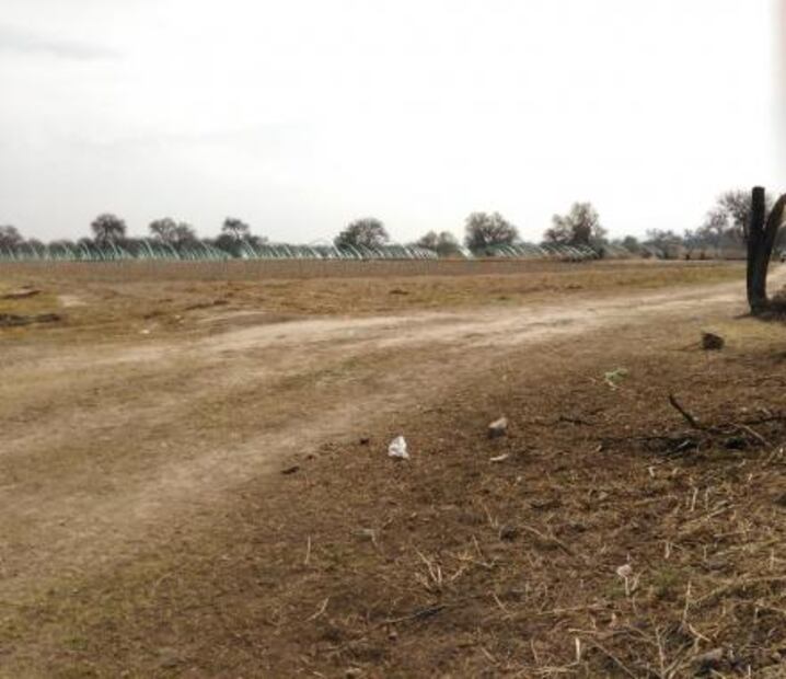 Alcalde de Mexquitic, denunciado por desalojo violento de pobladores