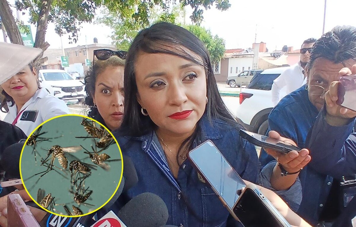 VIDEO: “Nube” de mosquitos acecha a pobladores de Villa de Pozos, SLP; preparan fumigación masiva 