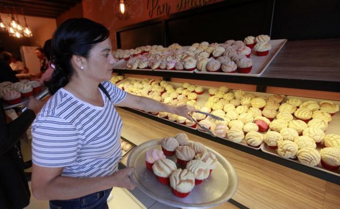 Foto: Archivo /EL UNIVERSAL