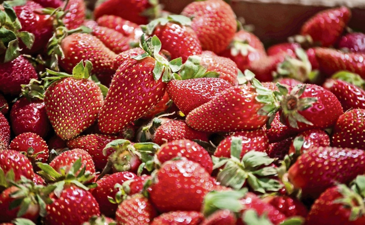 Estos son algunos beneficios de comer fresas