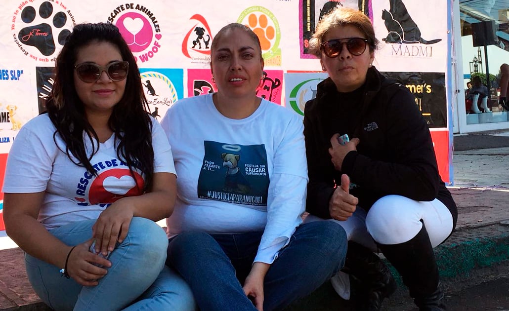 Foto: El Universal San Luis Potosí