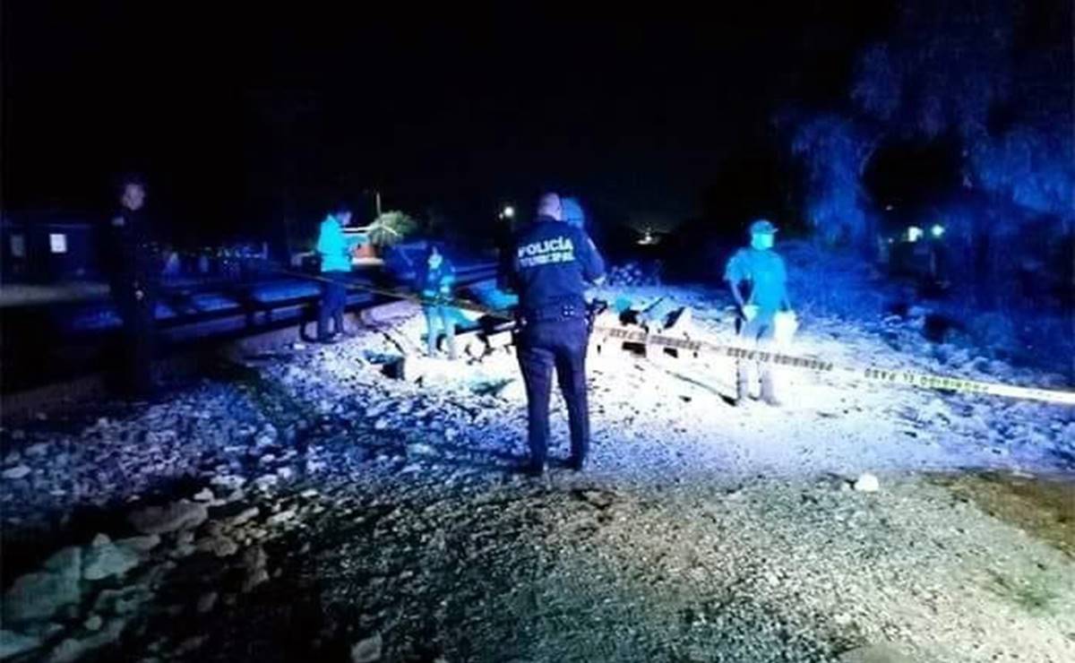 El tren anunciaba su paso con su silbato, pero la menor no pudo reaccionar a tiempo para evitar el incidente. Foto: Especial