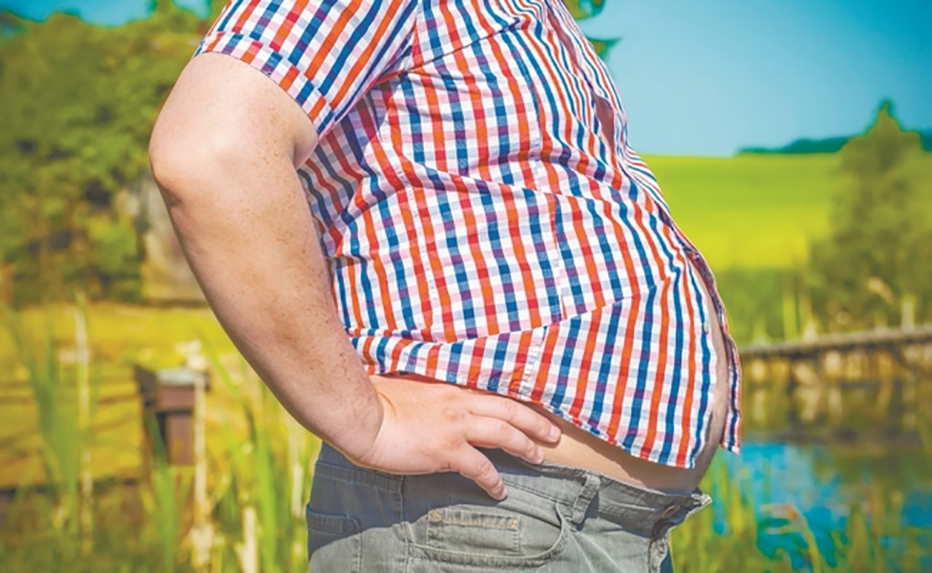 Bacterias en la flora intestinal protegen contra la obesidad