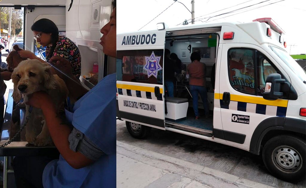 Ambudog continúa atendiendo mascotas en Soledad