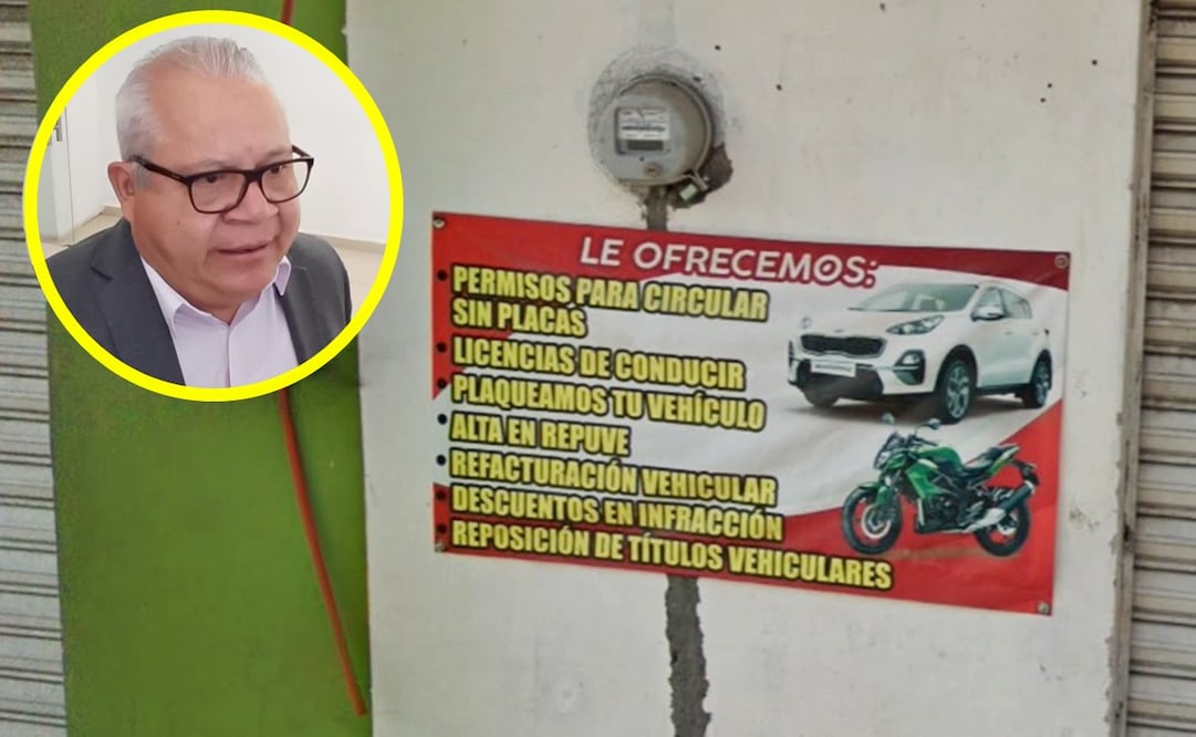 Autoridades de Seguridad van contra los permisos de circulación falsos. Foto: EL UNIVERSAL