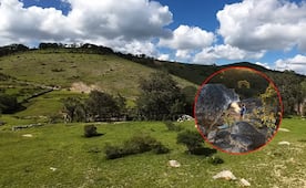 El Realejo, un oasis en medio del desierto del Altiplano de San Luis Potosí