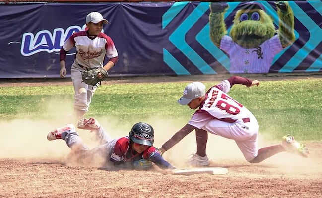 MLB Cup México 2026 reunirá a 24 equipos infantiles en San Luis Potosí