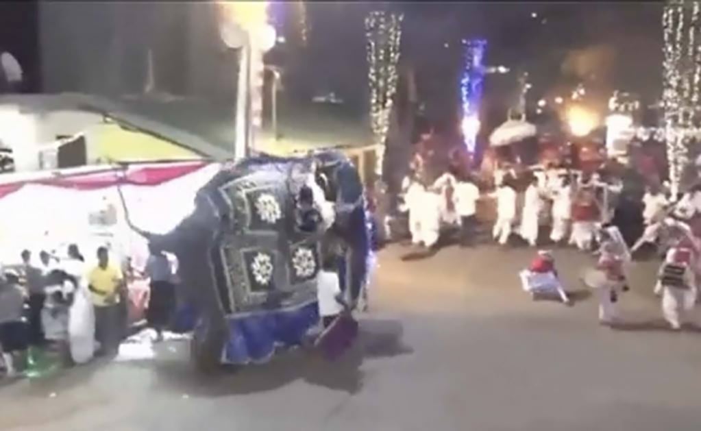 Elefante causa estampida y deja 18 personas heridas en Sri Lanka 