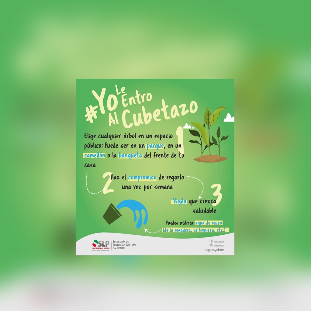 Lanza SEGAM ecoreto #YoLeEntroAlCubetazo