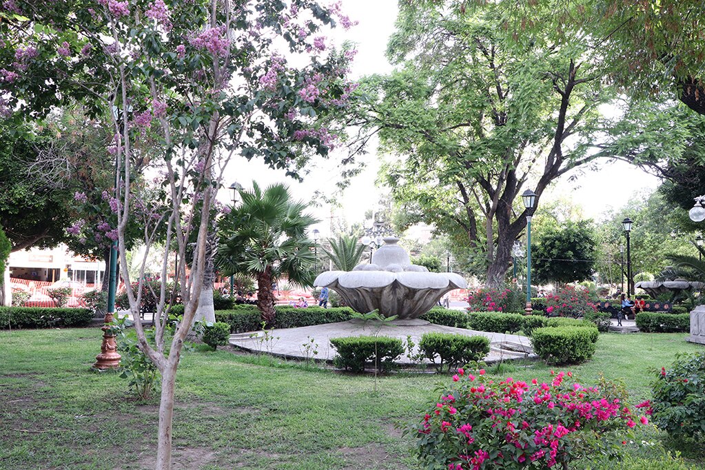 Ayuntamiento de SLP promueve adopción de áreas verdes