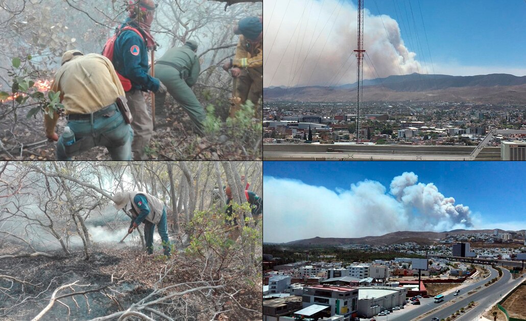Incendio en la Sierra de San Miguelito, lo que debes de saber